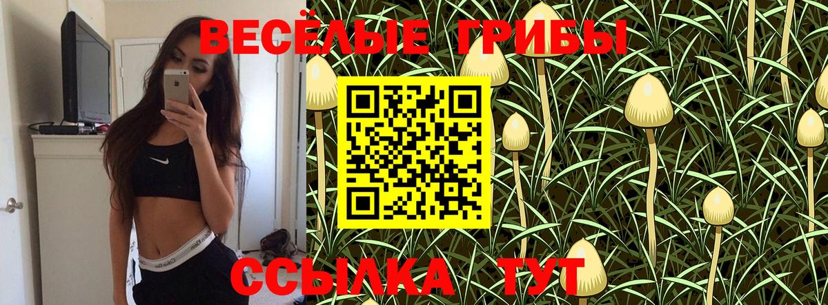 Галлюциногенные грибы прущие грибы Сертолово